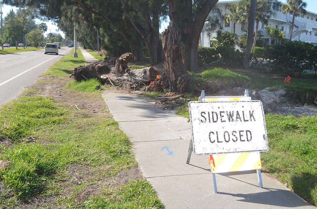 The sidewalk on the north side of Ringling Boulevard has been closed since September.