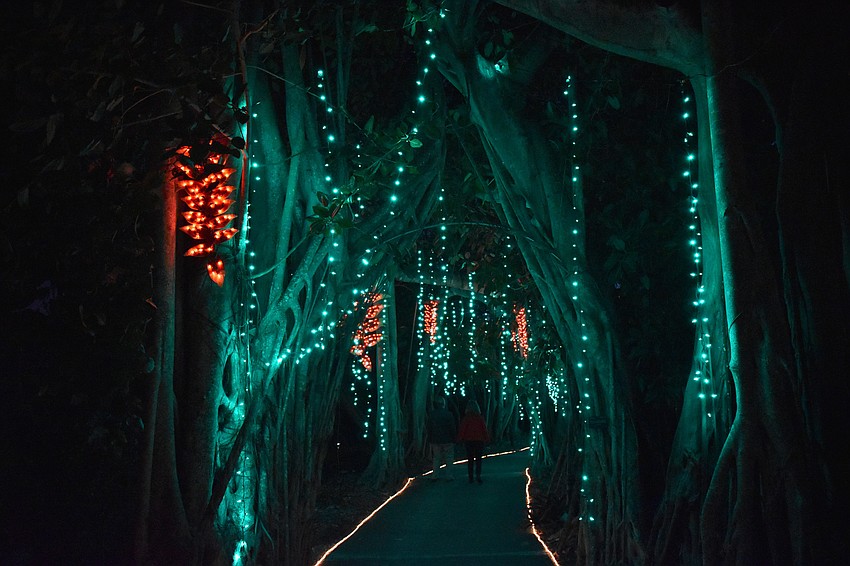 Lights in Bloom runs from Dec. 21-30.