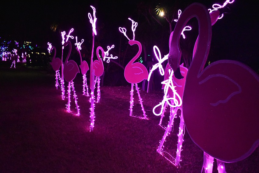 Lights in Bloom runs from Dec. 21-30.