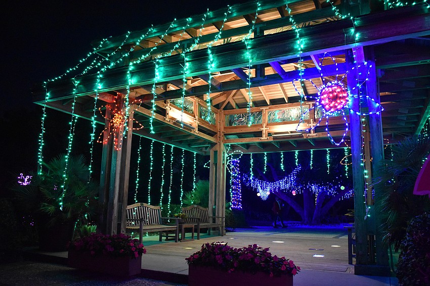 Lights in Bloom runs from Dec. 21-30.