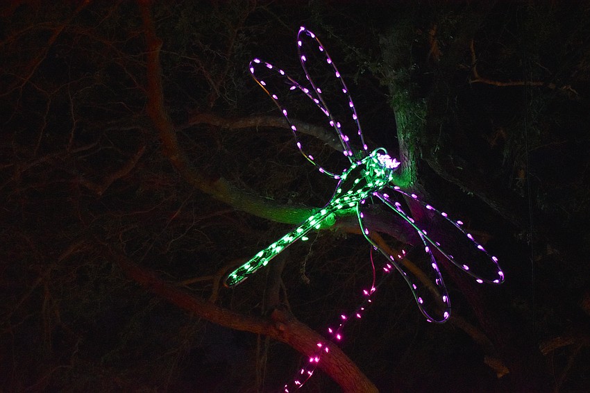 Lights in Bloom runs from Dec. 21-30.