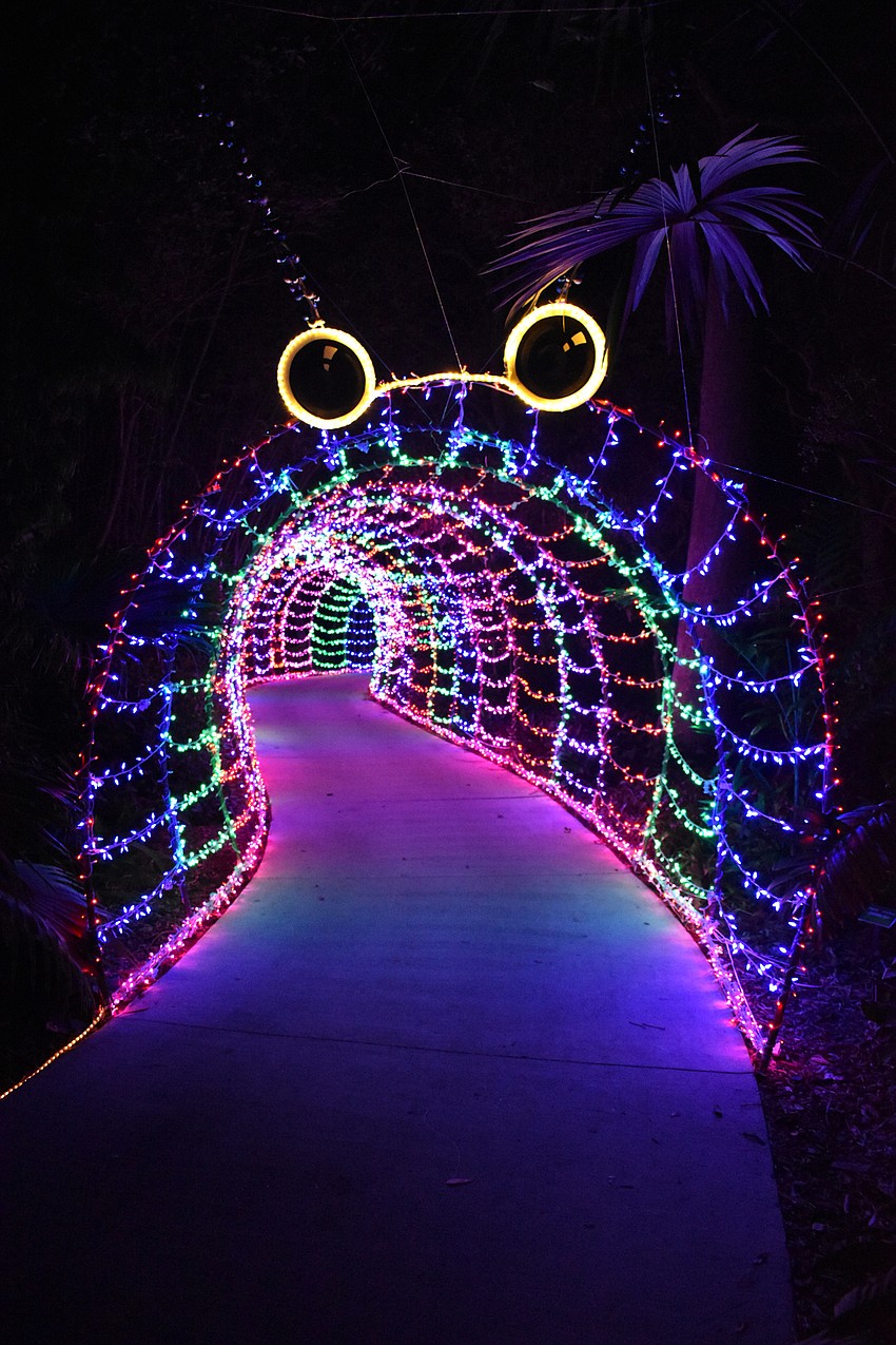Lights in Bloom runs from Dec. 21-30.