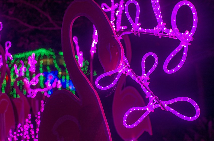 Selby welcomed families free of charge as part its Family Togetherness program.