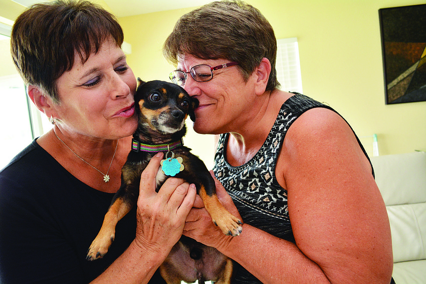 Nate's Honor Animal Rescue endured flooding from Tropical Storm Emily that left 70 dogs and cats looking for temporary homes. Sisters Donna Arnold and Sharry Lueck fostered Bullet, a Chihuahua, before adopting him full time.