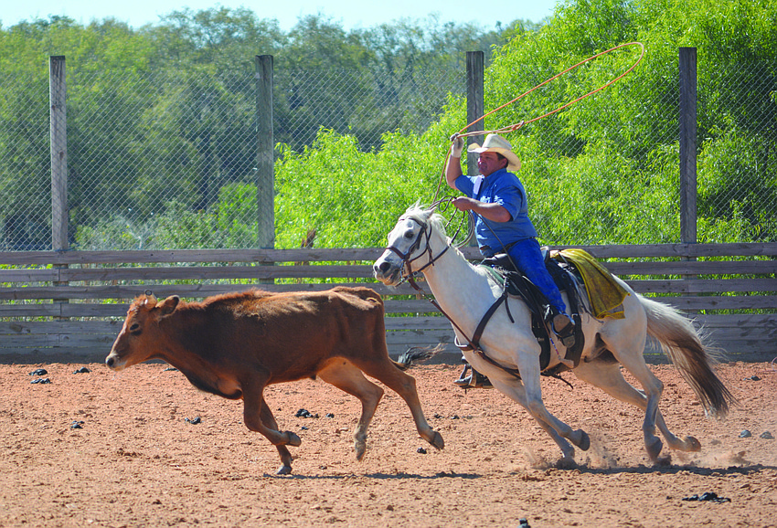 Each year in late February, cowboys from Schroeder-Manatee Ranch and the Sarasota Polo Club test their riding skills.