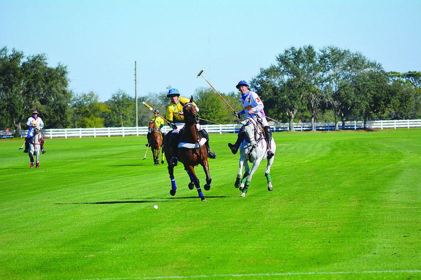 Polo ponies raced across the field Jan. 8 at the Sarasota Polo Club for the start of the polo season.