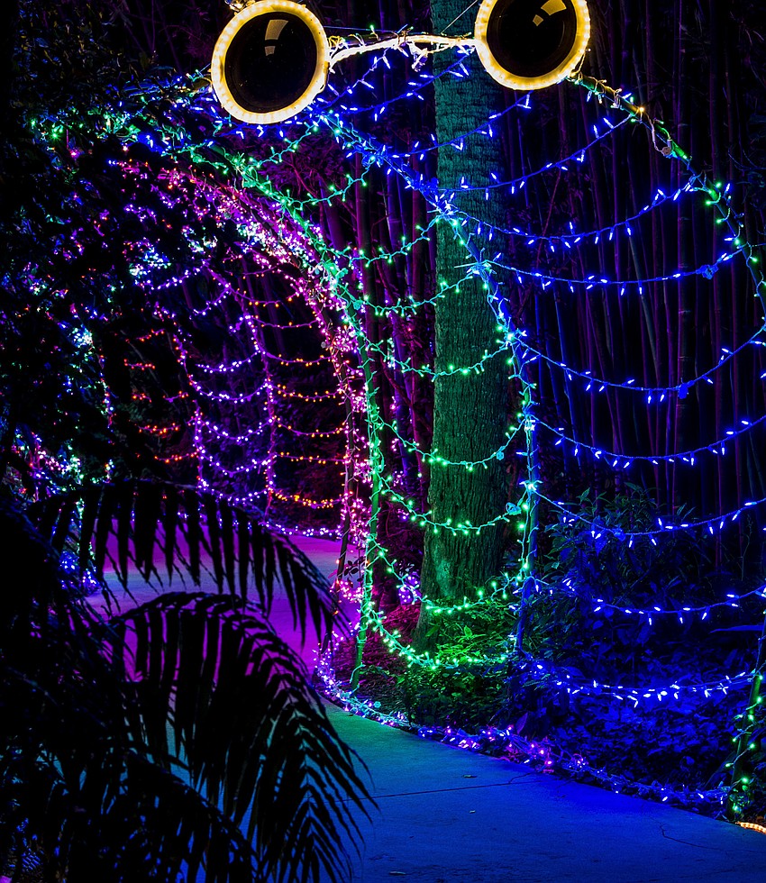 As always, Lights in Bloom was the perfect accompaniment to the New Year's Gala at Michael's on the Bay at Selby Gardens.