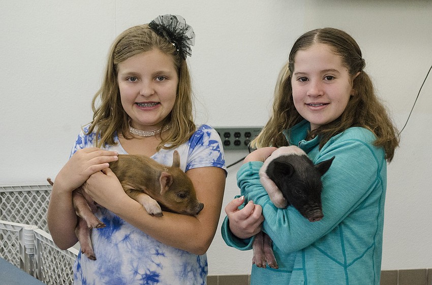 Zoey Bell and Mia Albuerne