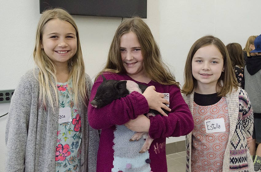 Grace Falbe, Julia Reedy and Estella Viers