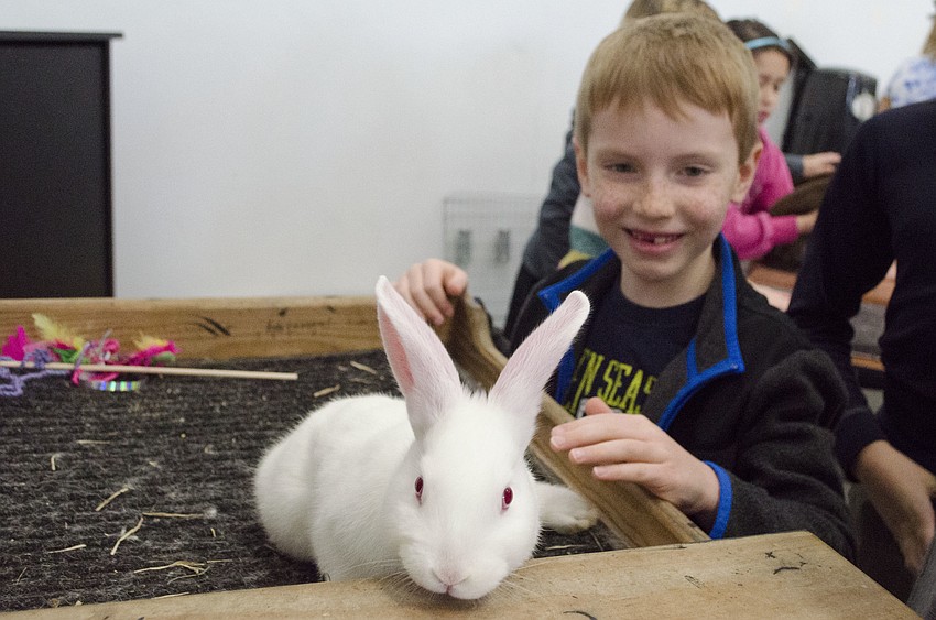 Dylan Sunday chills out with a rabbit he's named 