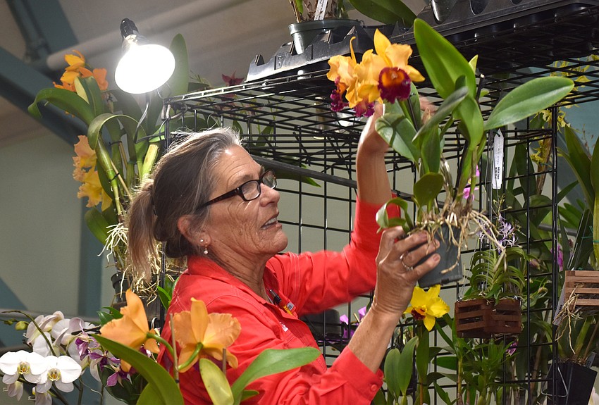 Cathy Lewis of Palmer Orchids helps customers during the 61st annual orchid show.