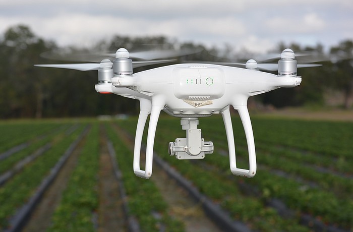 Rosedale's Chad Cox flies one of his five drones over O'Brien Family Farms to do a crop analysis.