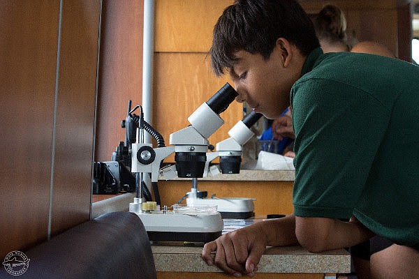A student peers into a microscope during a Mote program. (Courtesy image from Conor Goulding/Mote Marine Laboratory.)