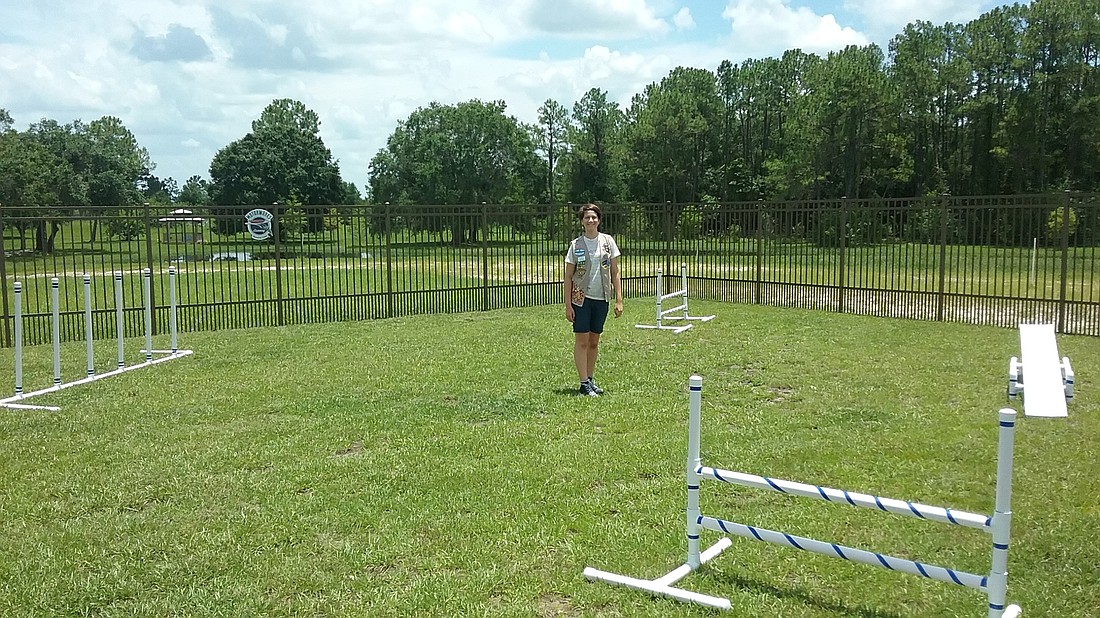 Faith Holliday constructed this agility course for dogs at Donte&#39;s Den over the summer of 2017.