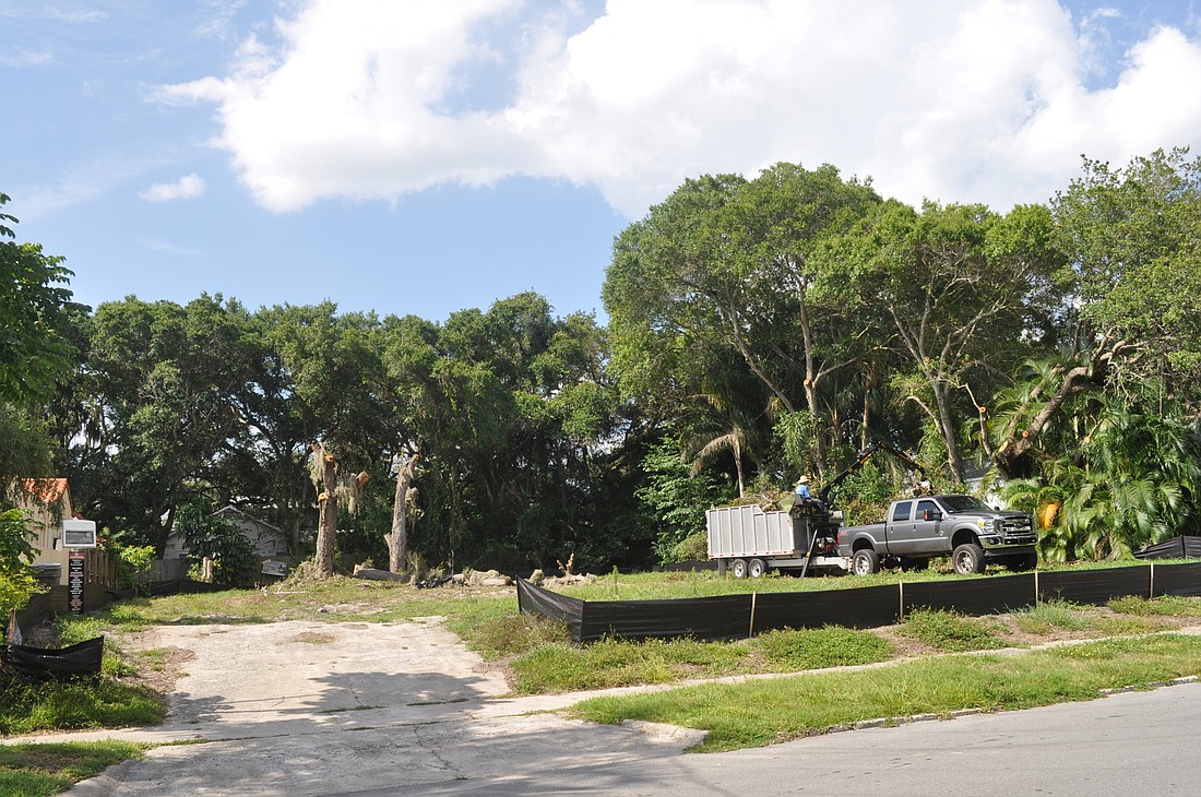 A proposed Florida Senate bill would allow builders to remove trees from private property without city intervention.