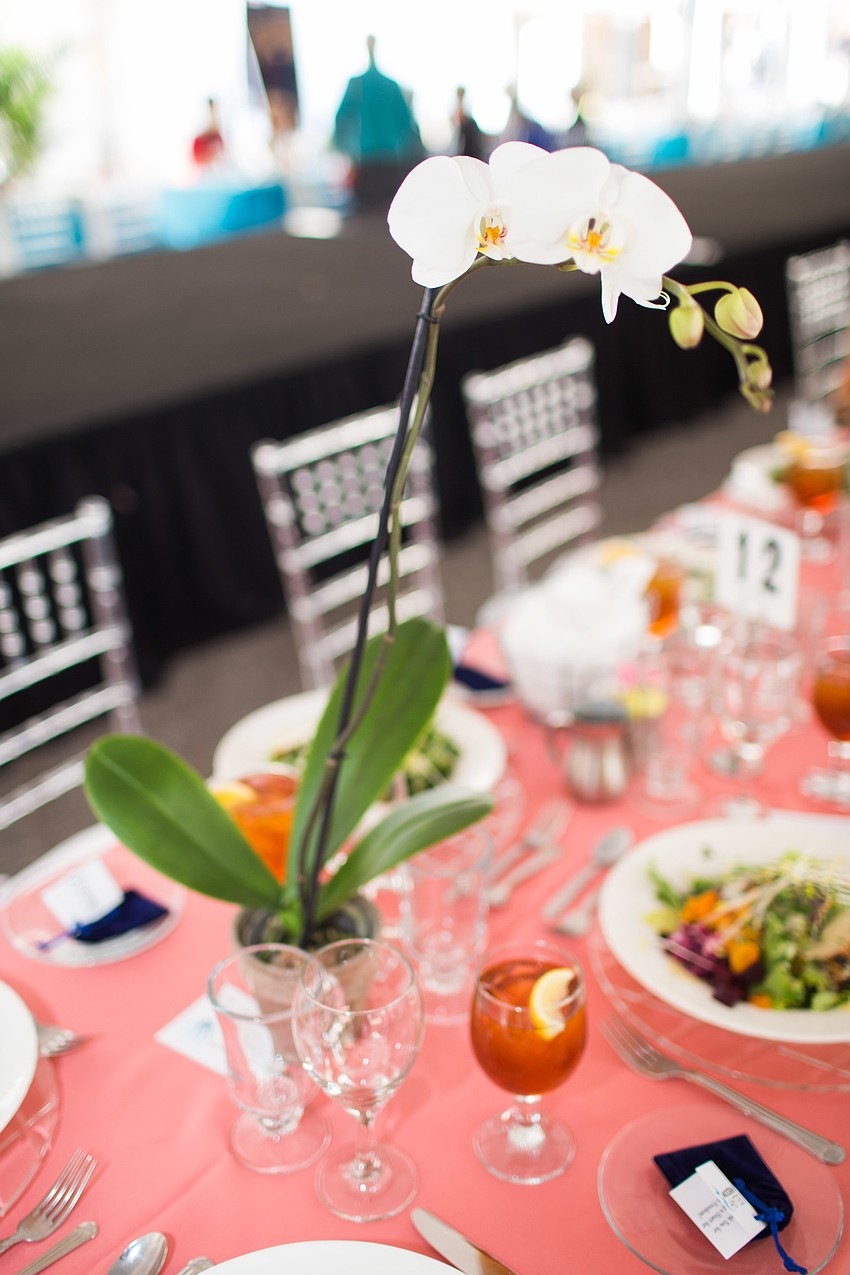 White orchids adorned the pink and blue tables underneath the tent.