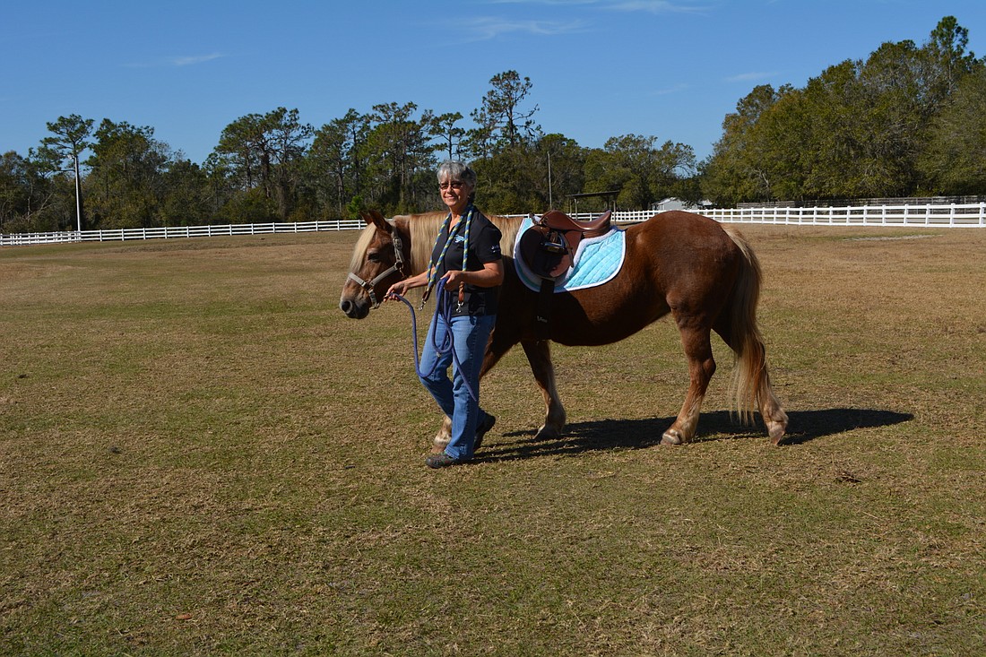 Longtime SMART volunteer Gail Clifton leads Carly, a pony in SMART&#39;s carriage therapy program, out for lessons. File photo.