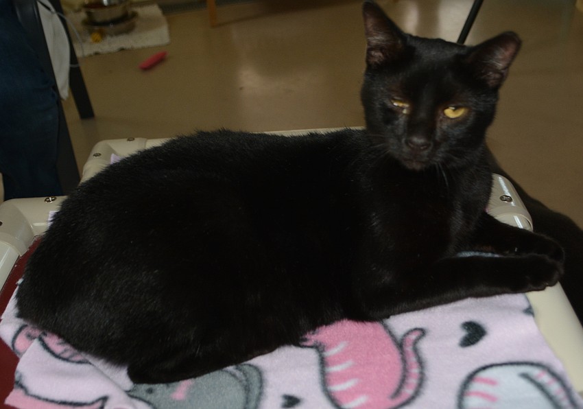 No chance the girls were getting back this blanket.