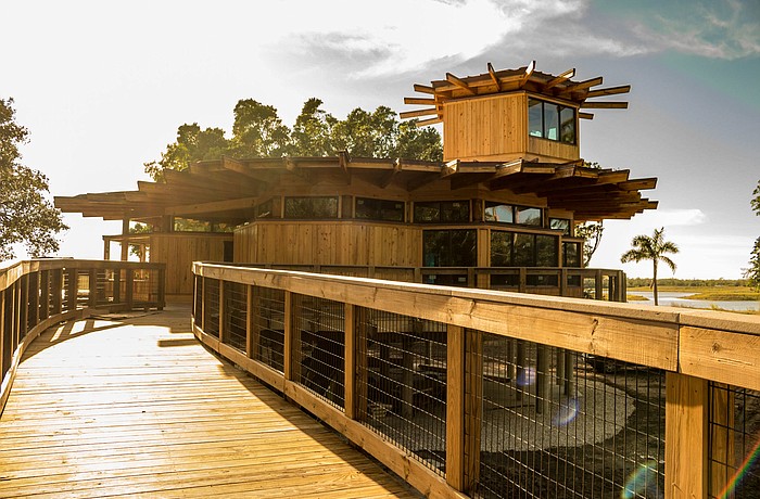 The Mosaic NEST is surrounded by 150 acres of Robinson Preserve. Courtesy photo.