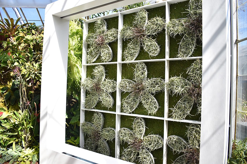 A large flower grid greets guests upon entering the conservatory. Photo by Niki Kottmann