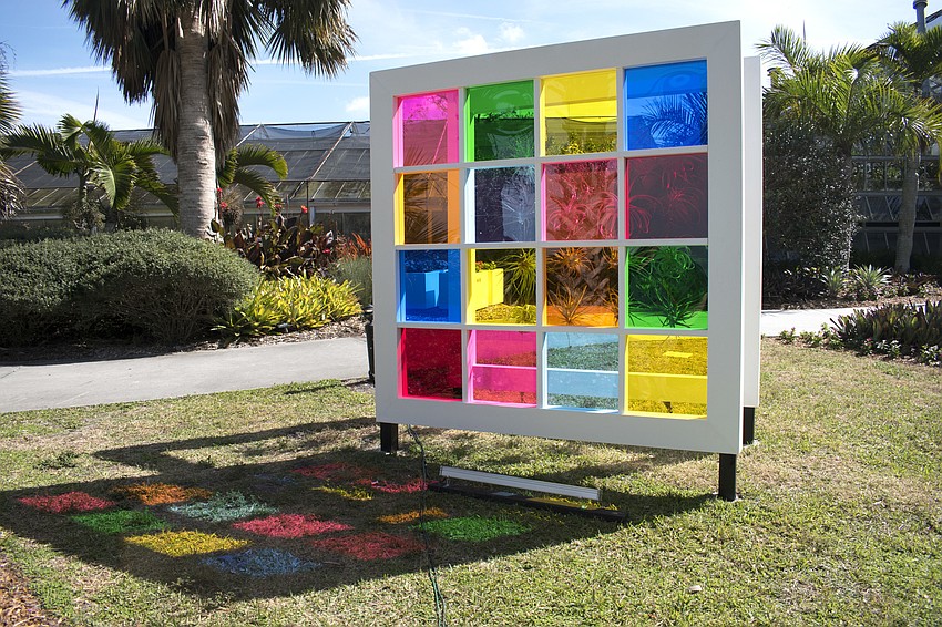 Tillandsia plants are integrated into a floating, colorful frame. Photo by Niki Kottmann