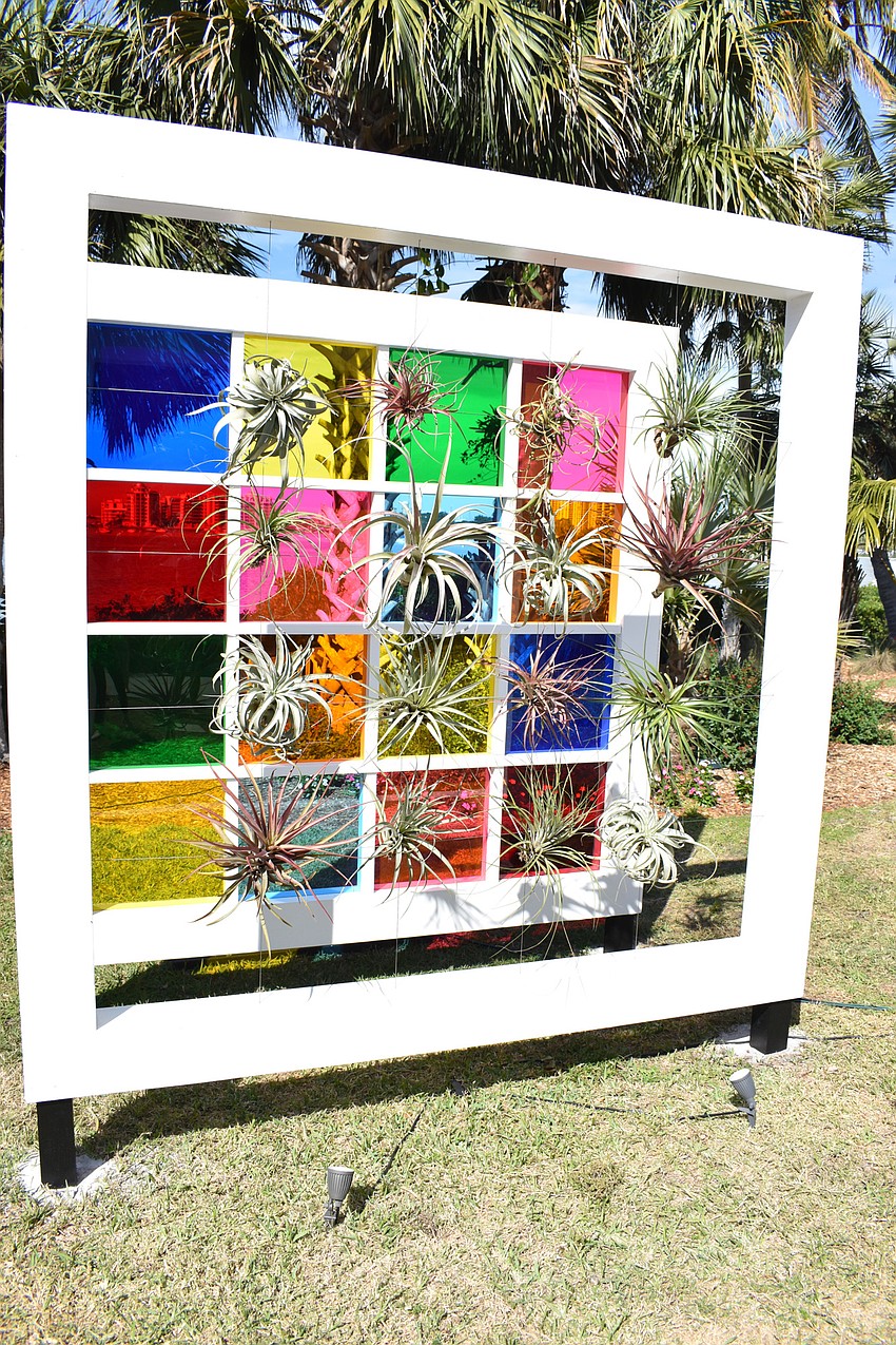 Tillandsia plants are integrated into a floating, colorful frame. Photo by Niki Kottmann