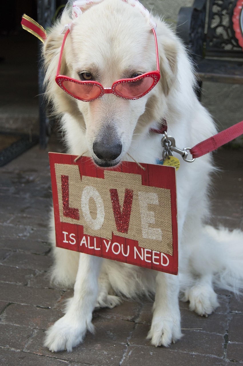 Lance wasn't a huge fan of his glasses, and took them off after a few minutes.