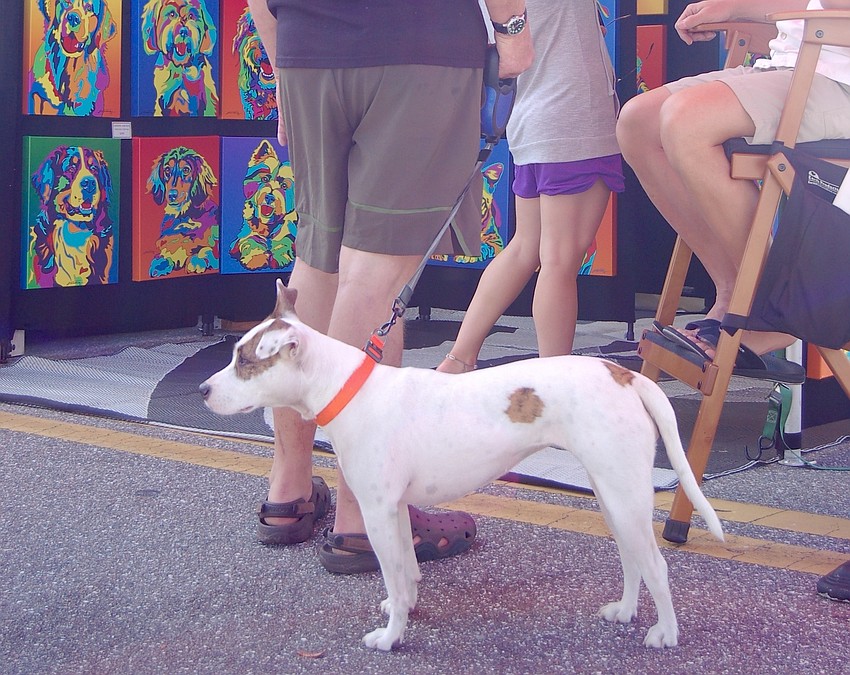 Ralph Raddatz and his dog Ellie stopped to look at Michael Vistia's giclee images of dogs.