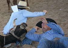 Myakka City's Amanda Hayward and Clayton Brown of Sleepy Creek Ranch find themselves in an awkward position during the team doctoring event.