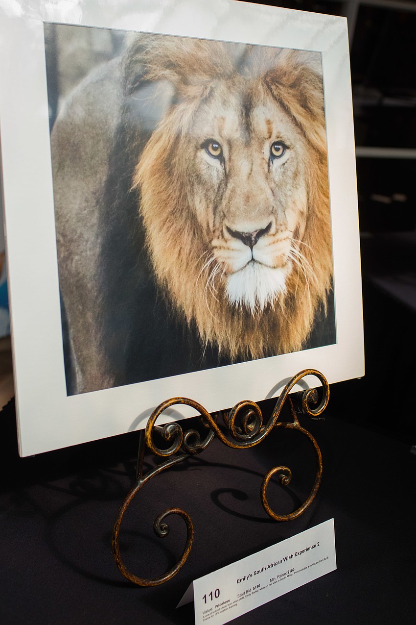 Emily Barley's photographs were available in the silent auction.