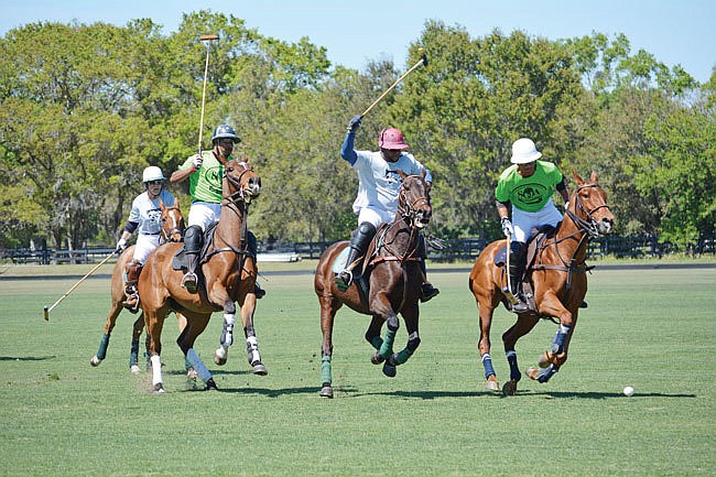 The polo match will start at 1 p.m. during the Ponies for Pups fundraiser.
