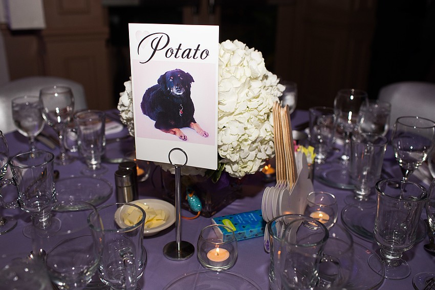 Each of the centerpieces featured a different rescue pet.