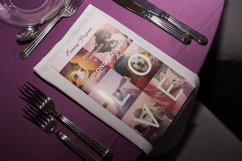 Last year, ARC was able to perform nearly 5000 spay and neuter surgeries.