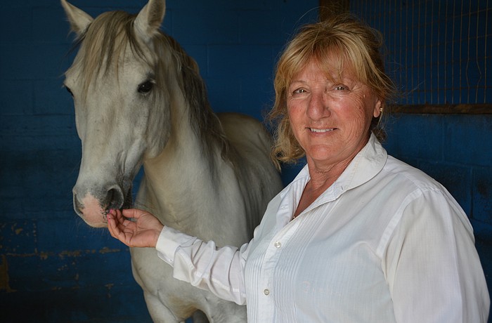 Antares will be one of the Royal Lipizzan Stallions performing for Gabby Herrmann March 4 during the ninth annual benefit for the Myakka City Historic School House.
