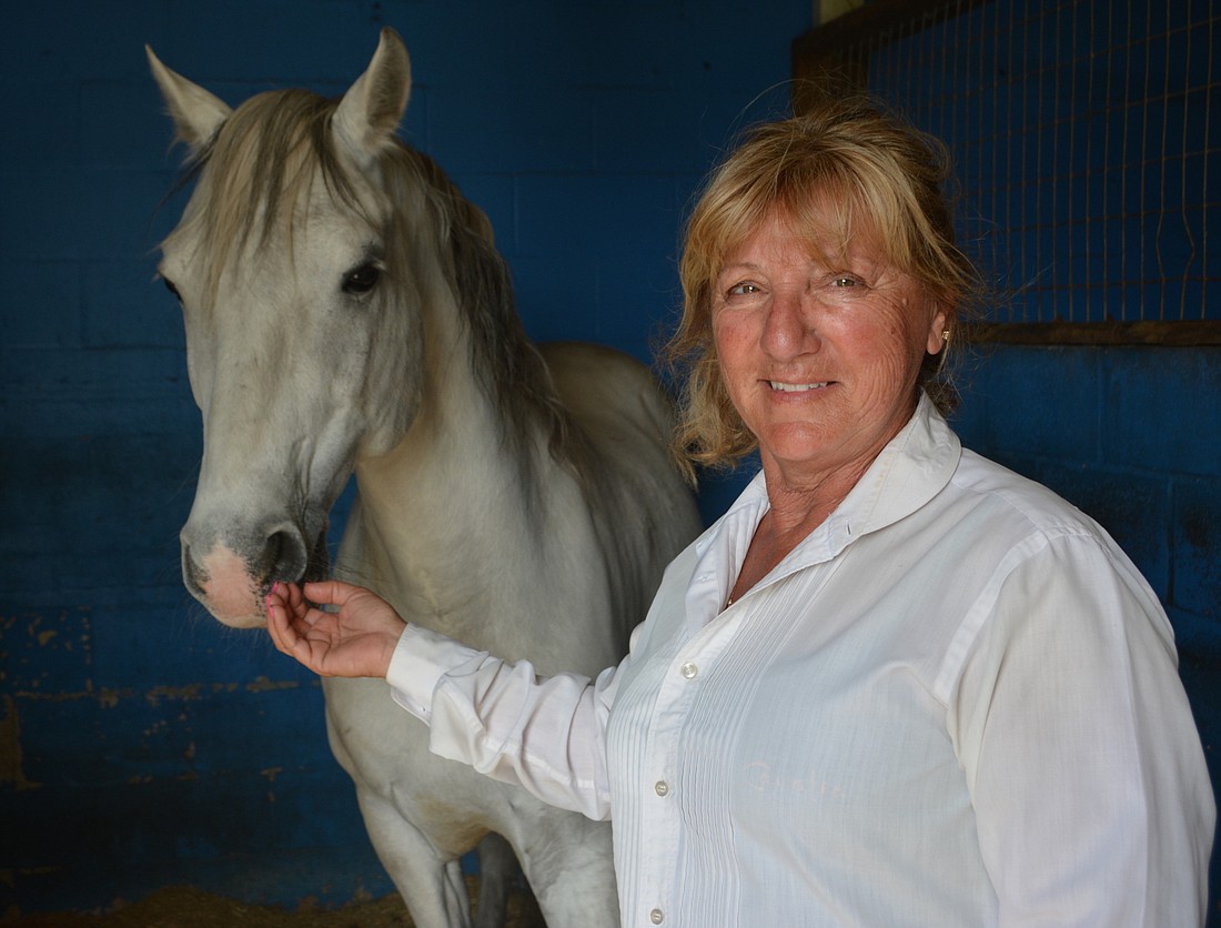 Antares will be one of the Royal Lipizzan Stallions performing for Gabby Herrmann March 4 during the ninth annual benefit for the Myakka City Historic School House.