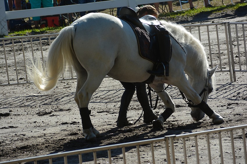 With hundreds of spectators lining the entire arena, it was time to take a bow.