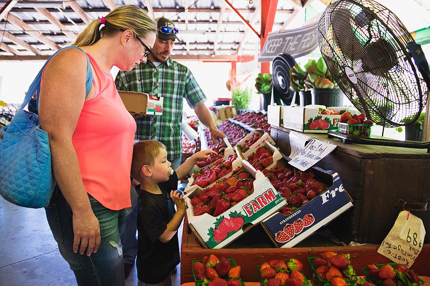 Lisa Deneweth, Mark Hemmersbach and Jase Hemmersbach look for the perfect basket of berries,