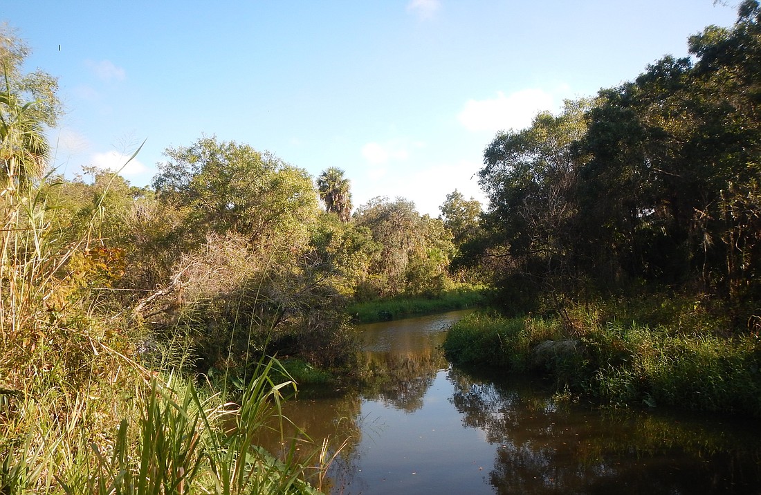 The property to be called the Braden River Preserve provides access directly to the Braden River. Courtesy image.