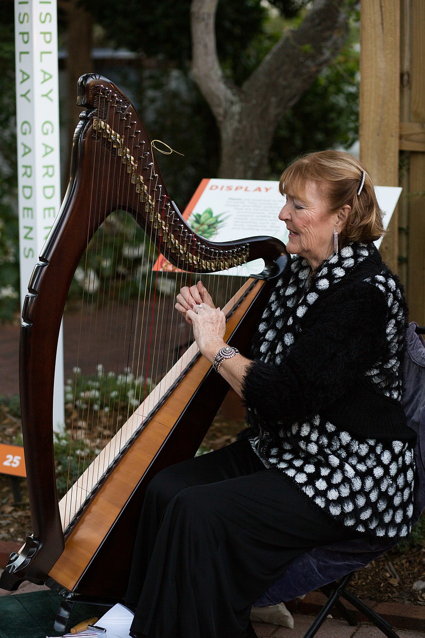 Olivia Swaan plays the harp for guests as they arrive.