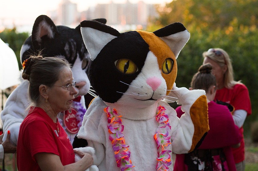Calli, Cat Depot mascot, greets guests.