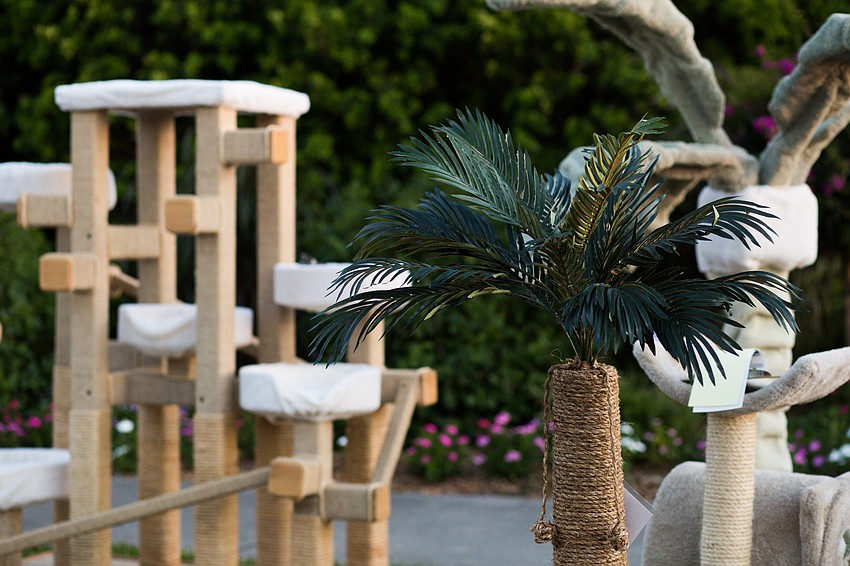 Multiple cat trees were available in the silent auction.