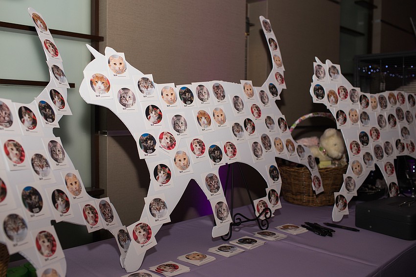 Guests pledged donations by filling out a card with a photo of a cat on it.
