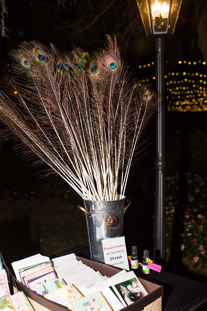 Peacock feathers, aka: a cat's favorite toy according to Cat Depot, were on sale for $3 each.