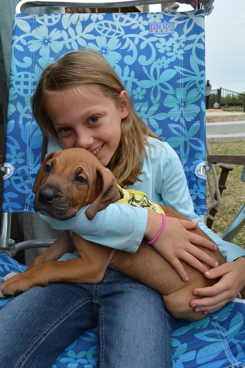Seven-year-old Kate Reardon gets her puppy snuggles in with Sneezy, who is up for adoption. She and her family already have two basset hounds.