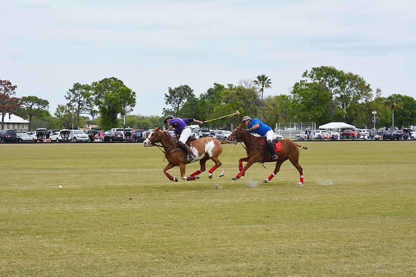 Guests enjoy watching a live polo match during the fundraiser.