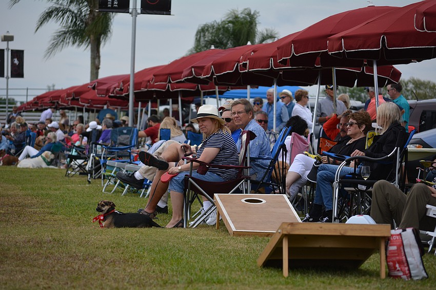 Tailgaters watch the polo match with their pups on hand.