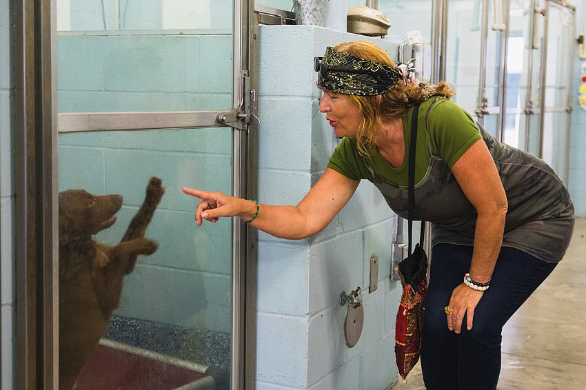 Petra Marquardt says hello to Lovey.