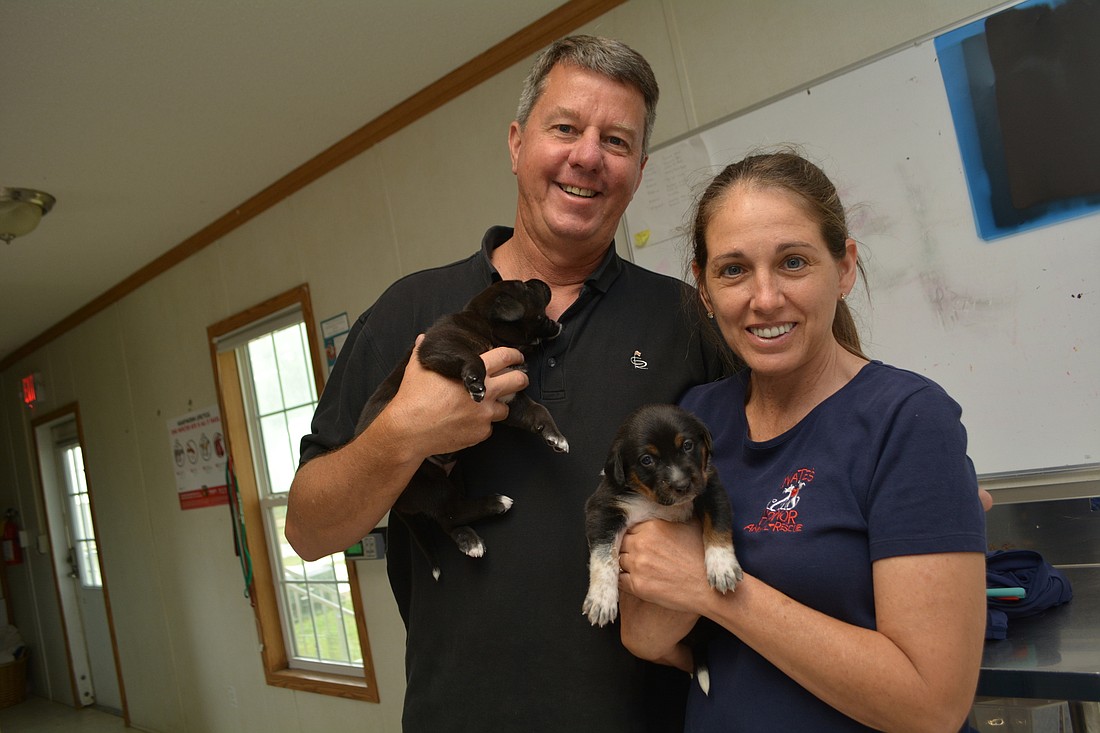 Nate&#39;s Honor Animal Rescue Director of Development Rob Oglesby and his wife and executive director, Dari Oglesby, give some newly vaccinated puppies a snuggle. The pair loves seeing the transformation undergone by animals in care.
