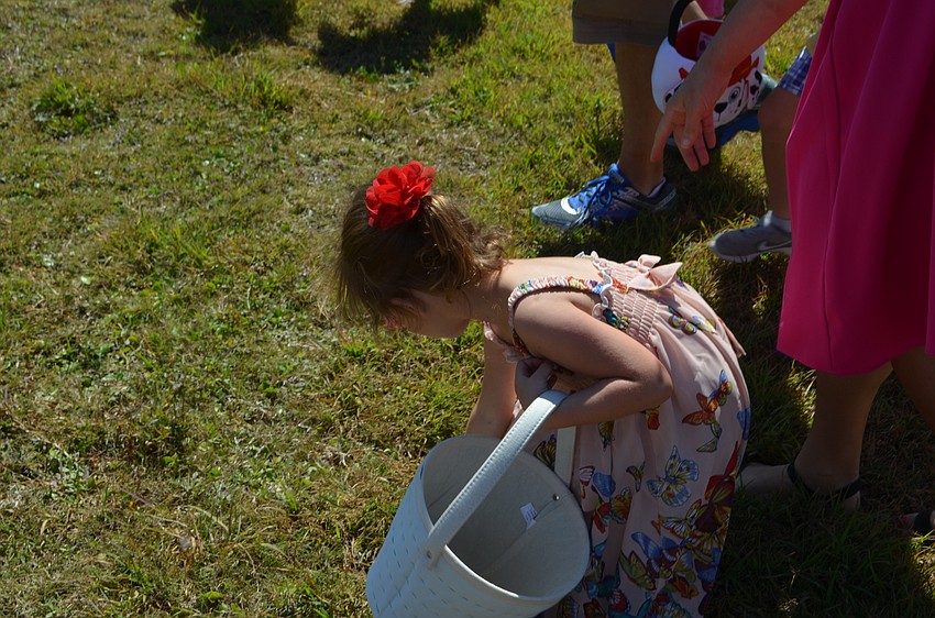 Three-year-old Layla Przybyla, of Ellenton, rushes to grab some eggs for her basket.