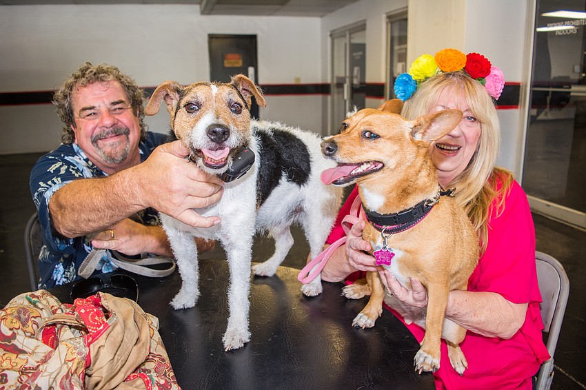 Joseph and Constance Propsom with their dogs Ringo and Juliet.